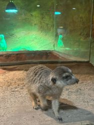 -酷嗒动物文化乐园(cutezoo西溪乐天城店)