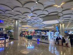 -贾特拉帕蒂·希瓦吉国际机场