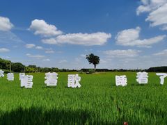 -嘉北郊野公园