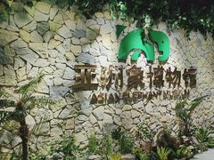 -野象谷景区