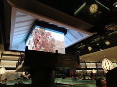 -新白鹿餐厅(虹桥南丰城店)