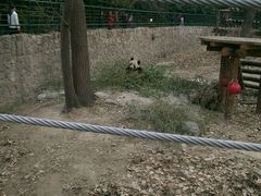-北京动物园