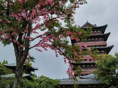 -祥源·阜阳生态乐园