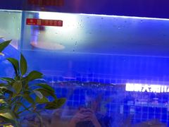 -老板恋上鱼(印象城店)