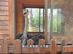 -龙里油画大草原旅游区