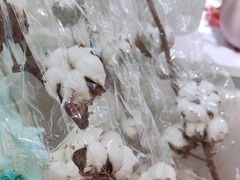 -循礼门鲜花花市(武汉循礼门店)