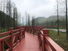 -广州市石门国家森林公园