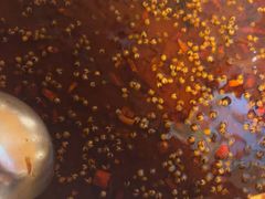 -味之绝热血美蛙鱼火锅(中坝店)