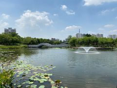 -映月湖公园