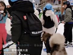 -长沙湘江冰雪世界