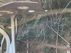 -野象谷景区