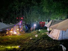 -武陵山森林公园