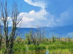 -野鸭湖国家湿地公园