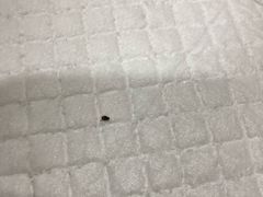-宠爱国际动物医院·疑难骨科·心肾内科·皮肤科(太阳宫店)