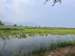 -野鸭湖国家湿地公园