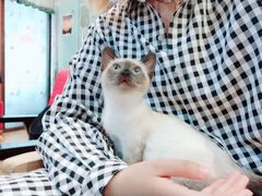 -万小咖.猫咖(中山路天虹店)