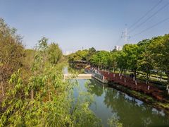 -昆山城市生态森林公园