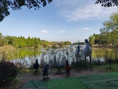 -苏州太湖国家湿地公园