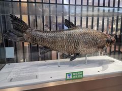 -得尔乐大酒店(南塘店)