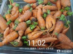 -好灶头妈妈菜·千岛湖土菜地标美食