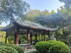 -柳侯公园
