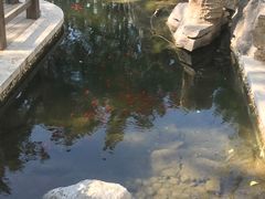 -林海公园
