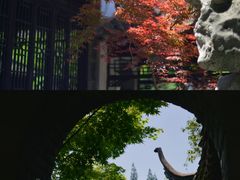 -渌洋湖湿地公园