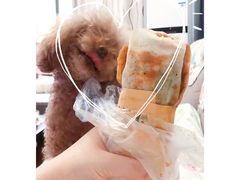 -孙奶奶葱包桧