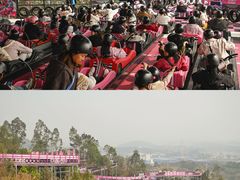 -盈香心动乐园