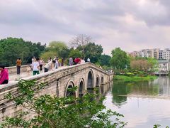 -荔湾湖公园