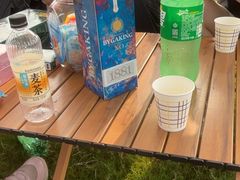 -上海山野camping·户外天幕烧烤·团建拓展营地