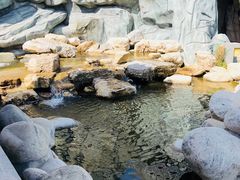 -太白山御龙湾温泉