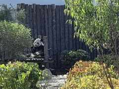 -大青山野生动物园