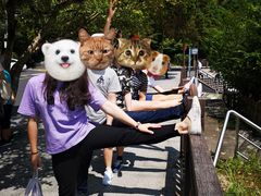 -井冈山风景名胜区-黄洋界