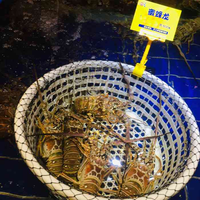 79号渔船海鲜饭店(龙华店)-"位置,在3楼边上,坐电梯出来正好看见了.