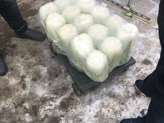 -韩家墅海吉星农产品批发市场