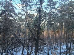 -帽儿山国家森林公园