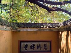 -普陀山慧济禅寺