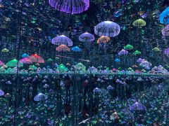 -深圳独角兽星空艺术馆