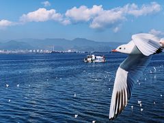 -滇池海埂公园