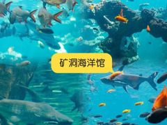 -长鹿旅游休博园
