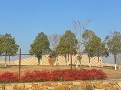 -盘龙城国家考古遗址公园