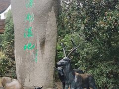 -溱湖国家湿地公园