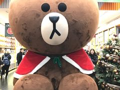 -line friends(明洞旗舰店)