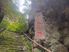 -天女山森林公园