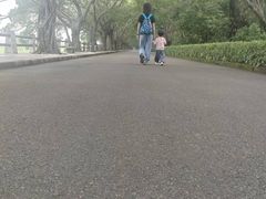 -大湾区中央湿地公园