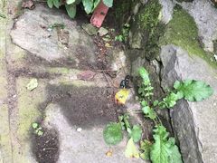 -焦作青龙峡风景名胜区