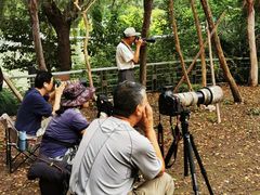 -苏州河梦清园环保主题公园