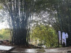 -三江森林温泉度假区