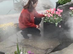 -荷兰花海
